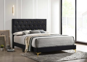 Kendall Tufted Upholstered Panel Bed (Black)
