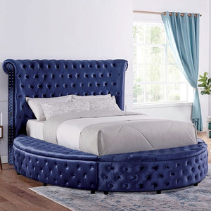 Sansom Velvet Bed (Blue)