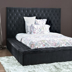 Davida Transitional Queen Bed (Dark Grey)