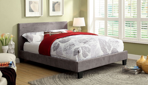 Wynn Microfiber/Velvet Bed