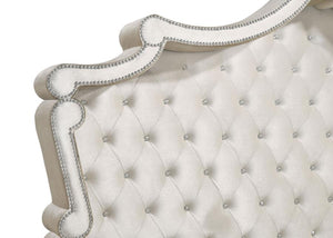 Antonella Velvet Upholstered Bedroom Collection in Ivory