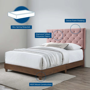 Rhiannon Diamond Tufted Upholstered Queen Velvet Bed (Pink)