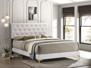 Kendall Tufted Upholstered Panel Bed (White)
