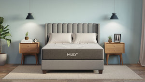 Mlily Fusion Orthopedic Memory Foam Mattress