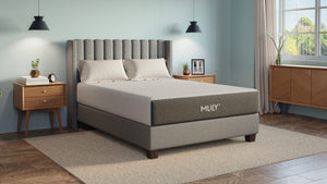 Mlily Fusion Orthopedic Memory Foam Mattress