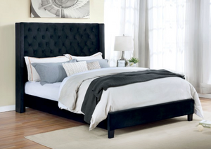 Ryleigh Transitional Bed (Black)