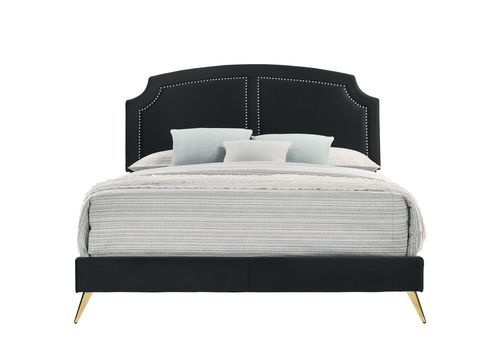 Zeena Contemporary Bed (Black)