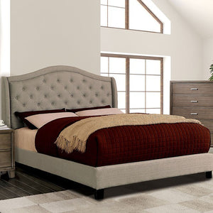 Carly Transitional Bed (Grey)