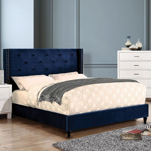 Anabelle Transitional Bed (Navy)