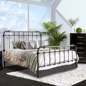 Riana Transitional Metal Bed (Black)