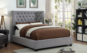 Carley Transitional Bed (Grey)