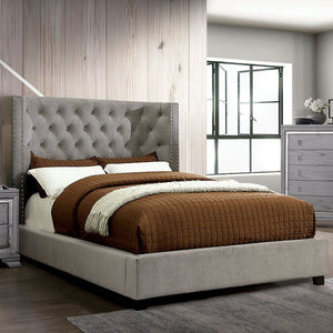 Cayla Transitional Bed (Grey)