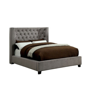Cayla Transitional Bed (Grey)