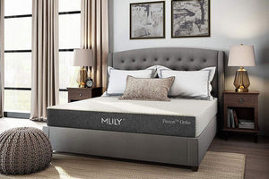 Mlily Fusion Orthopedic Memory Foam Mattress